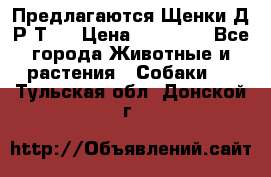 Предлагаются Щенки Д.Р.Т.  › Цена ­ 15 000 - Все города Животные и растения » Собаки   . Тульская обл.,Донской г.